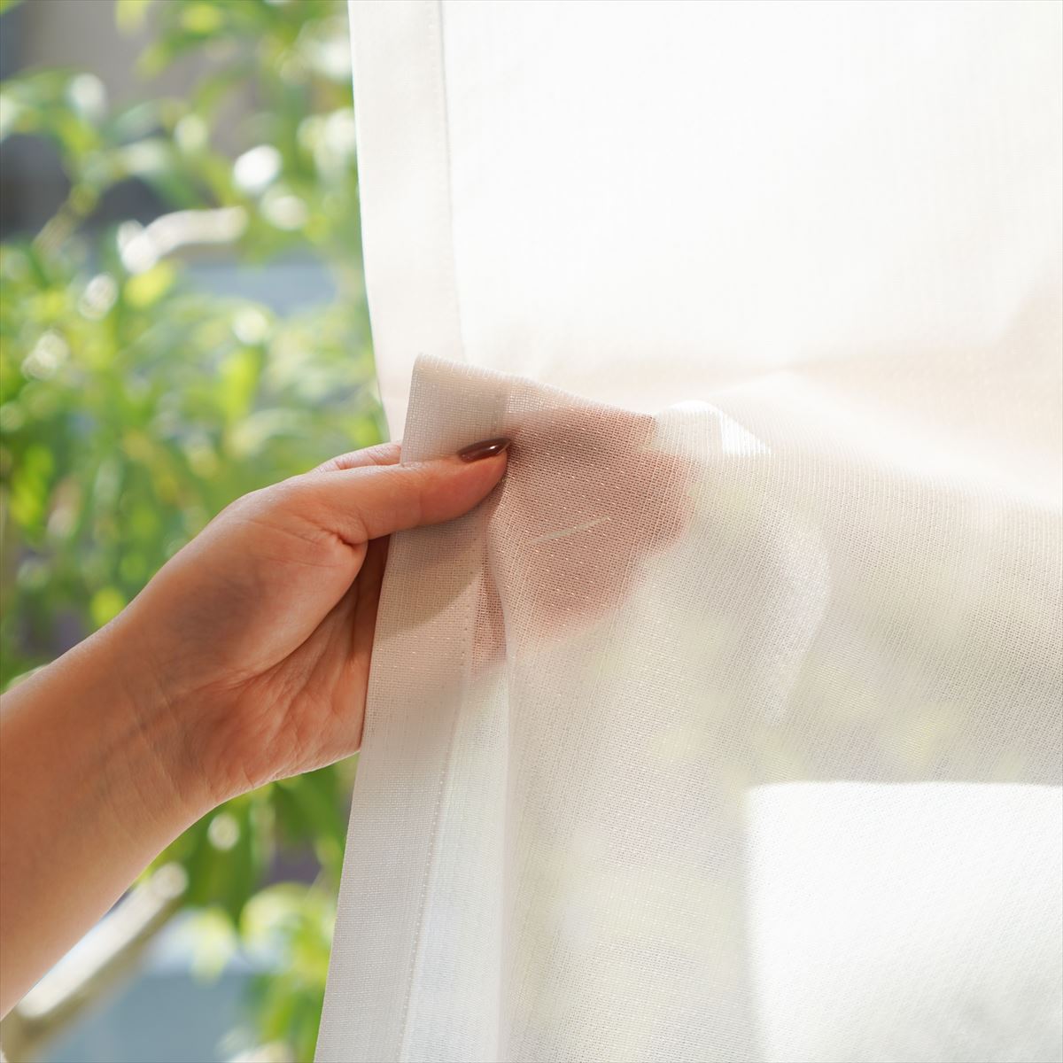 Basic Sheer / カーテン