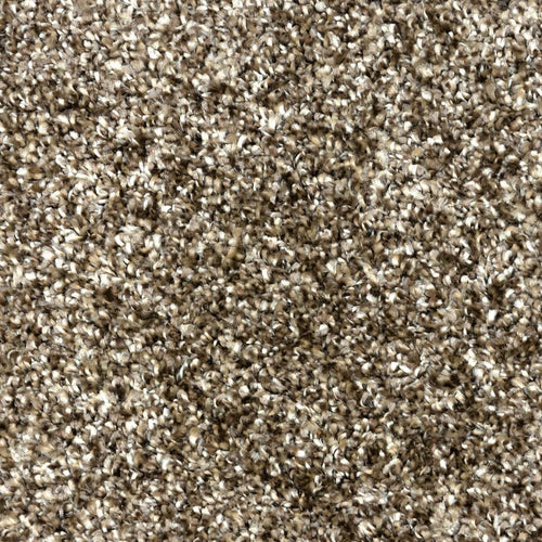 1300×1900 / Mix Brown