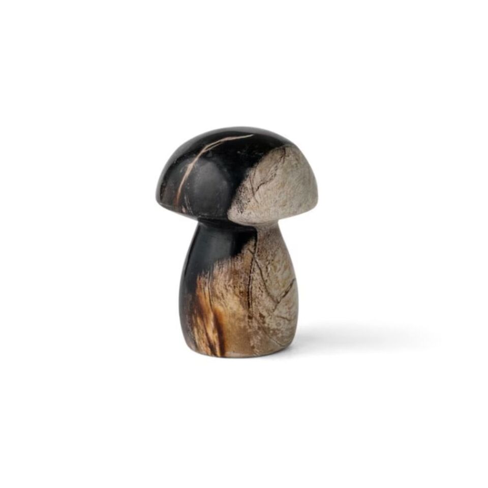 MUSHROOM STONE - Petrified Wood / 珪化木のオブジェ – ENEN