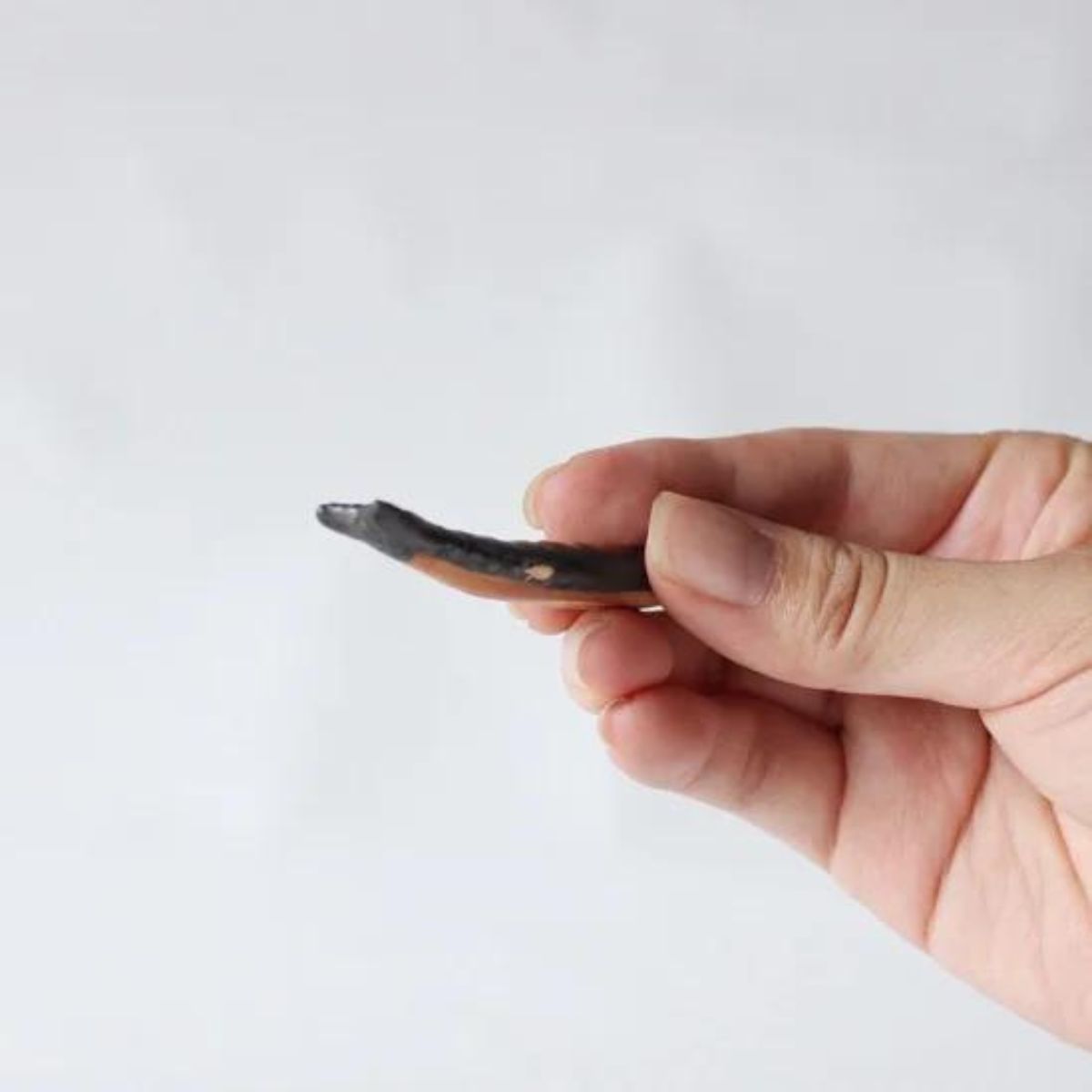 Chopstick Rest Fish / 箸置き 焼きサンマ
