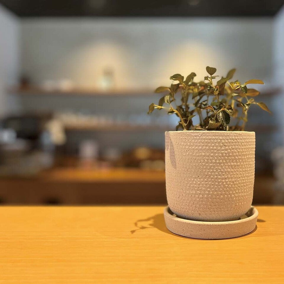 Matte Textured Ceramic Pot / ポット