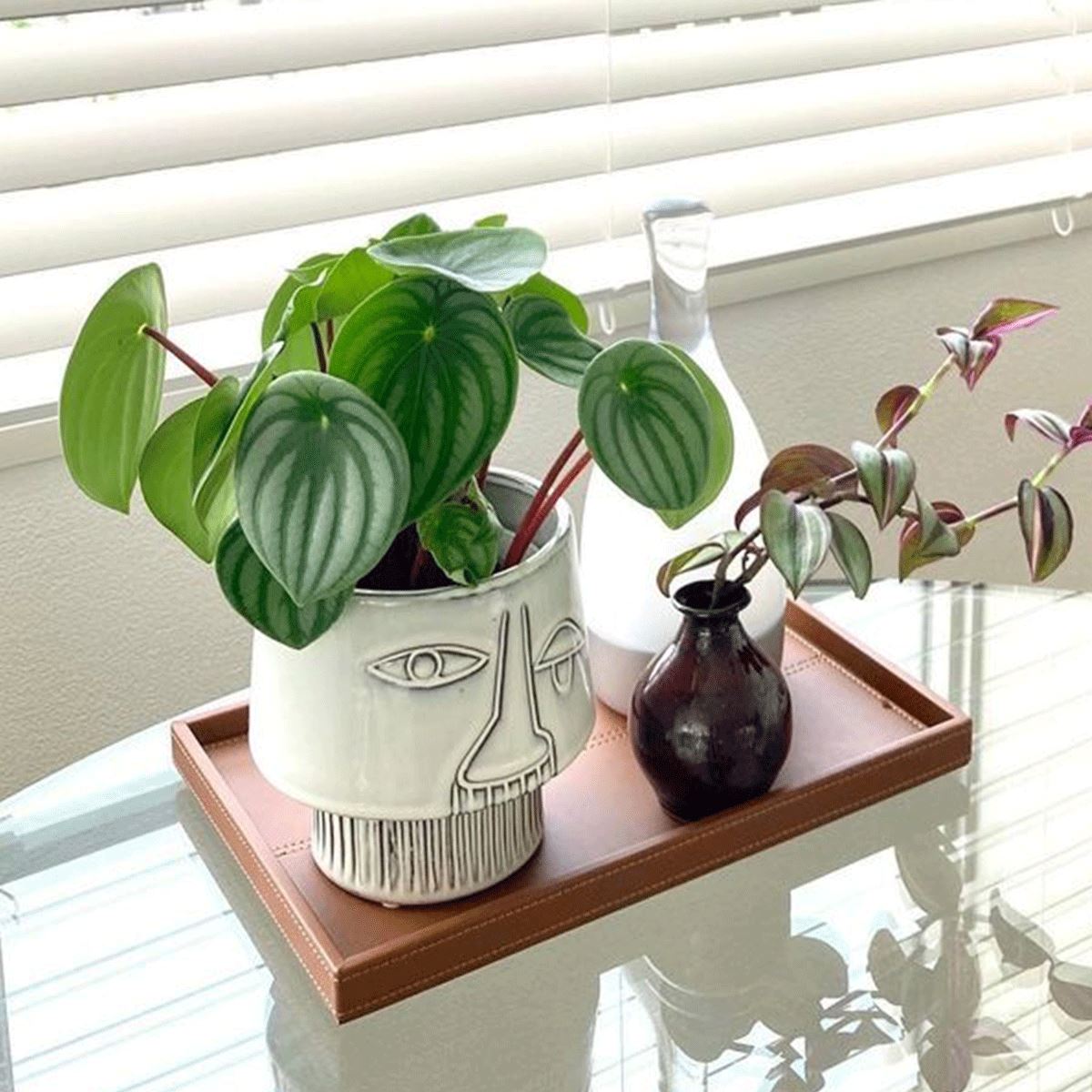 Facial Expression Pot / フェイシャルエクスプレッションポット