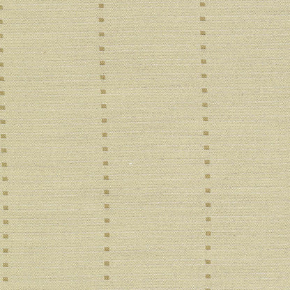 Dot stripe Curtain / カーテン