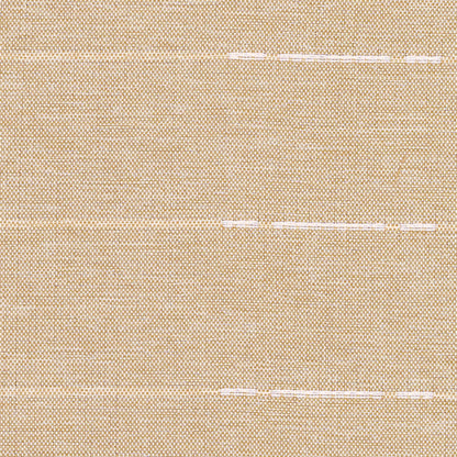 Luminous Border Stripe Curtain / カーテン