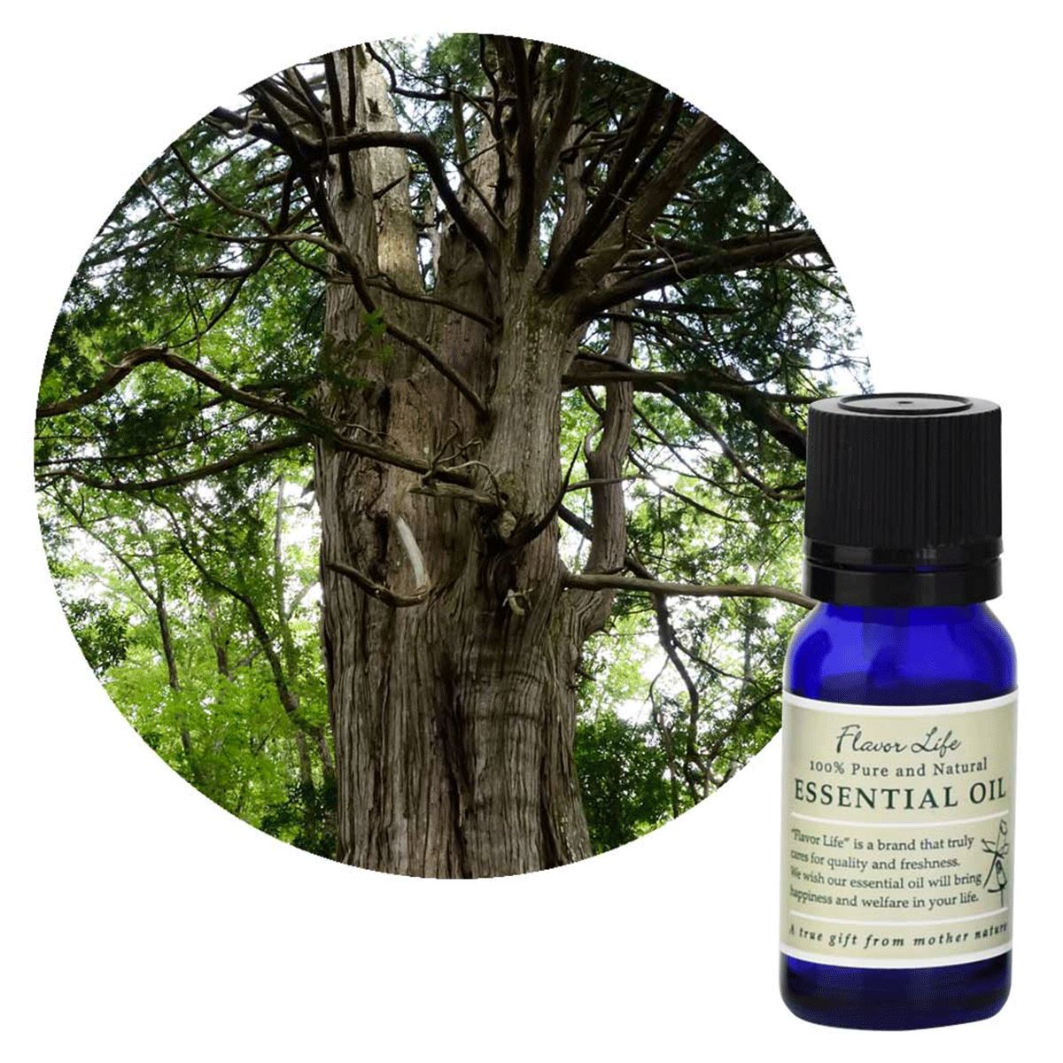 Essential Oil HINOKI 10ml / エッセンシャルオイル ヒノキ