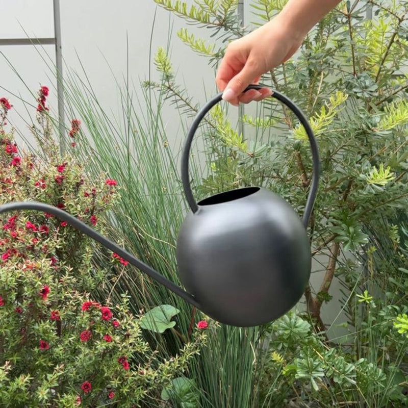 Round Watering can / ラウンドウォーターカン