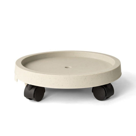 Plants Tray