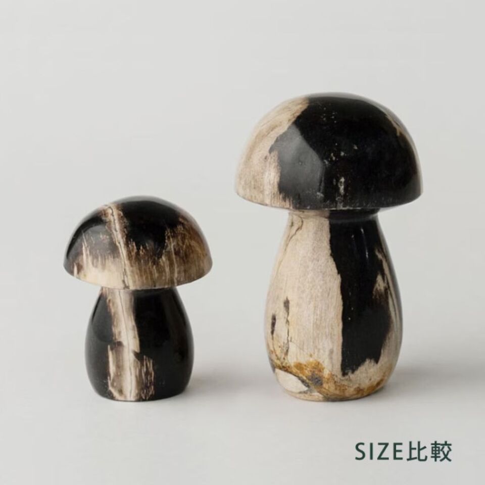 MUSHROOM STONE - Petrified Wood / 珪化木のオブジェ – ENEN