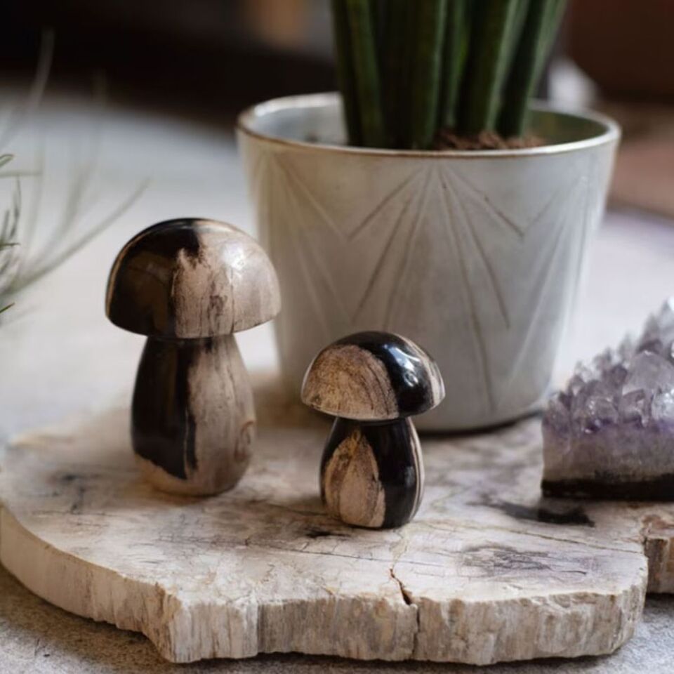 MUSHROOM STONE - Petrified Wood / 珪化木のオブジェ – ENEN