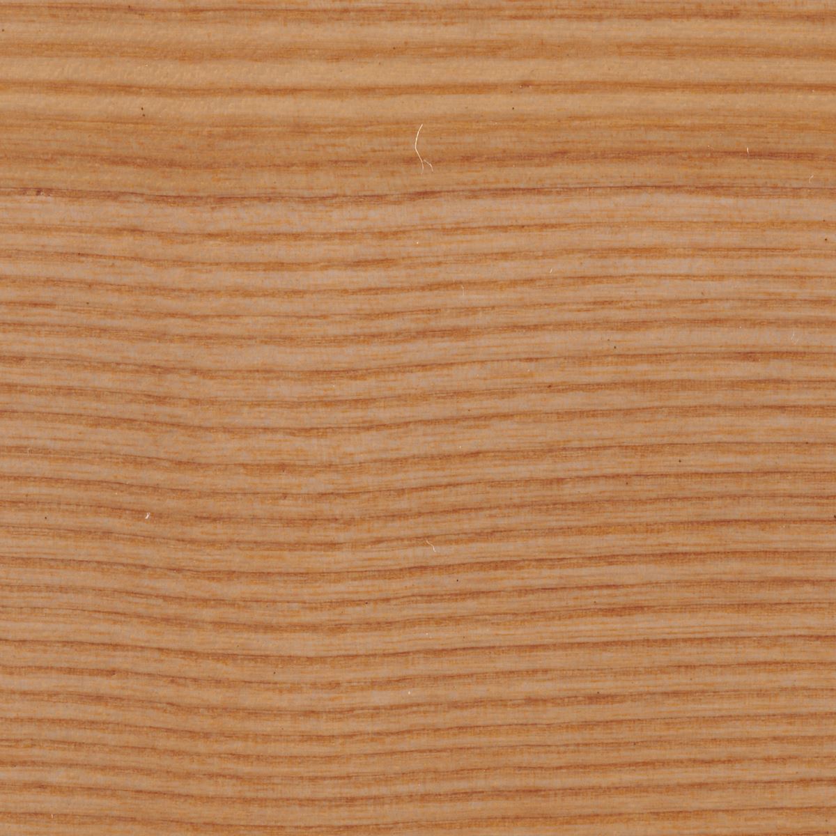 Wood Sample - Natural Wood