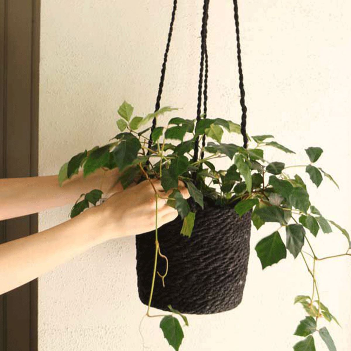 Jute Hanging Pot / ジュートハンギングポット