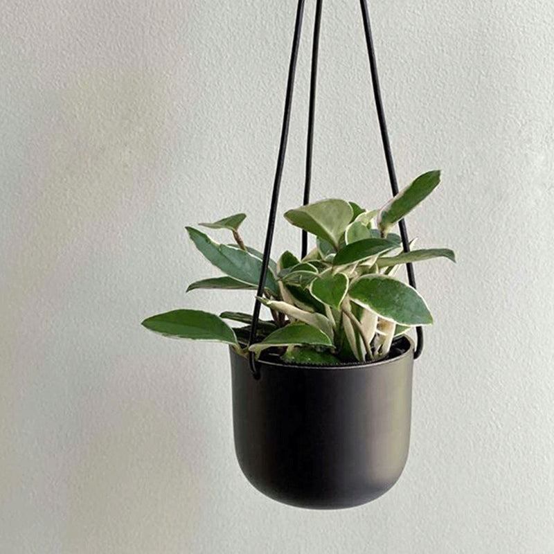 Two-tone Aluminum Hanging Pot / ツートーンアルミニウムハンギングポット