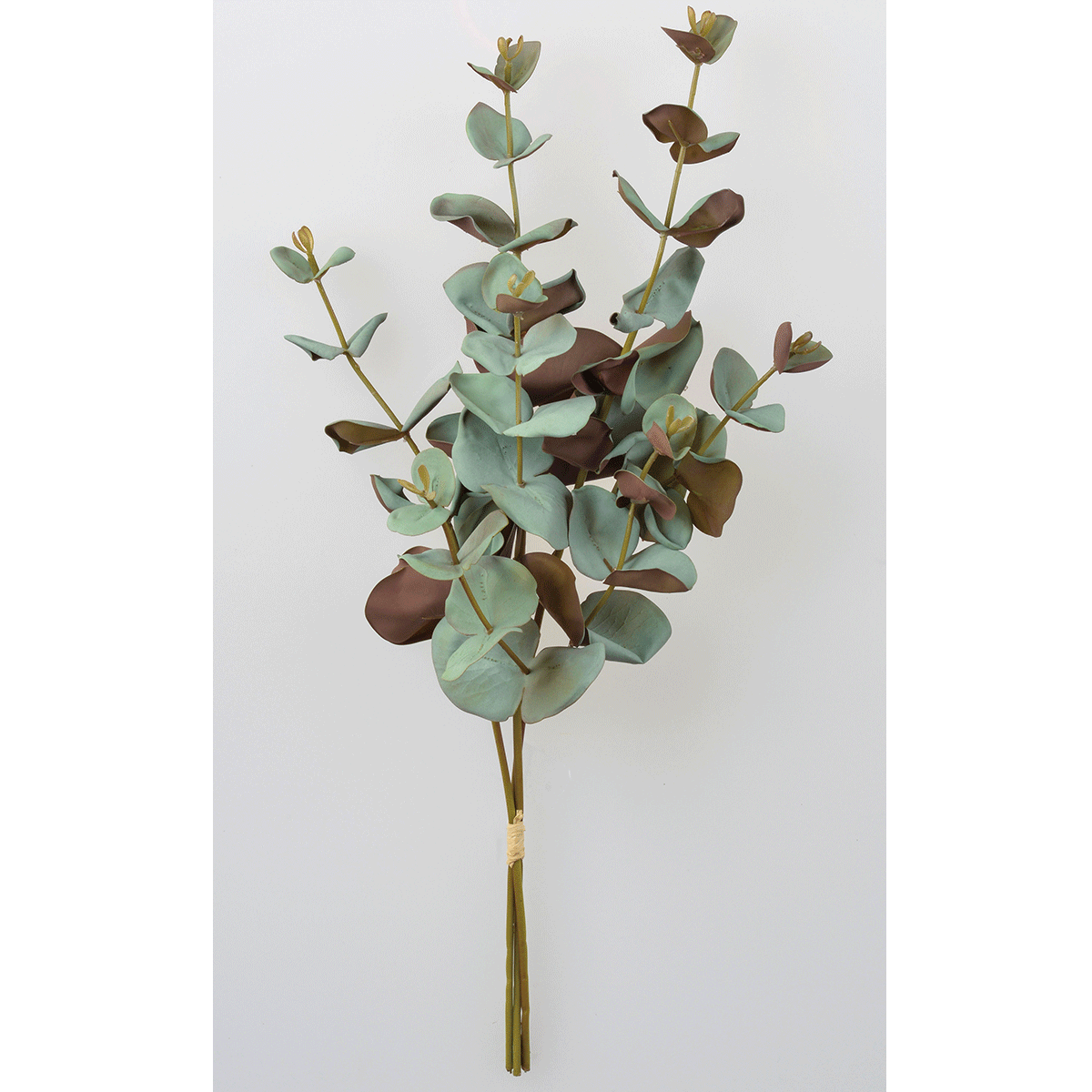 eucalyptus Bouquet
